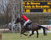 De Simone Teddy TosTour 2013- S5 7832 : Arezzo Equestrian Centre, De Simone Rossella, Teddy, Toscana Tour 2013, foto di Stefano Secchi ©